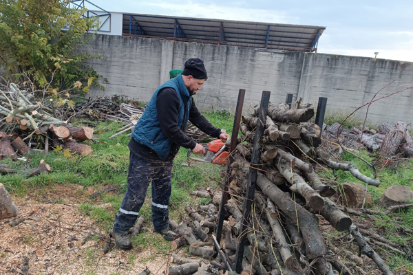 Budama sonrası toplanan kuru dallar, yakılabilir hale getiriliyor