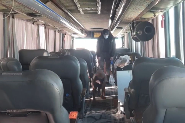 Ağrı’da narkotik operasyonu