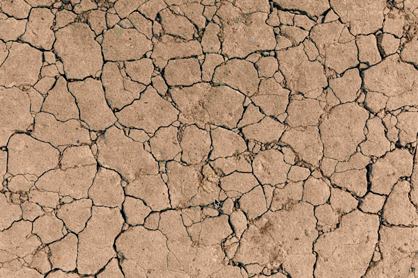 TEMA Vakfı: Toprak yoksa su, su yoksa gıda yok