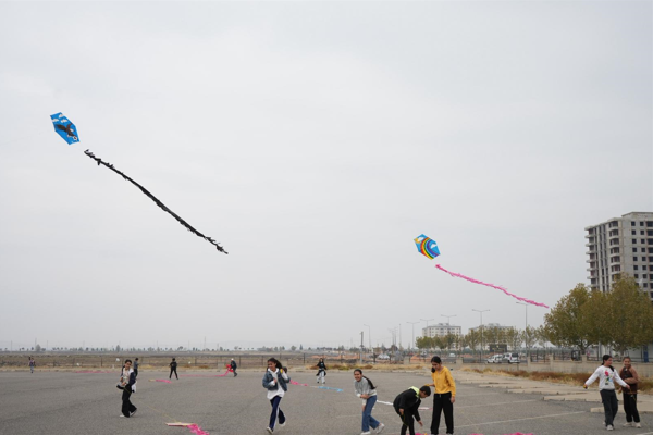 Kayapınar Belediyesi, “Uçurtma Şenliği” düzenledi