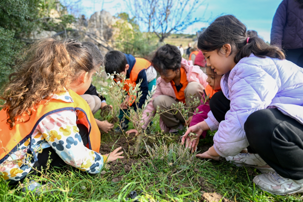 Bornova’da 200 zeytin fidanı toprakla buluştu