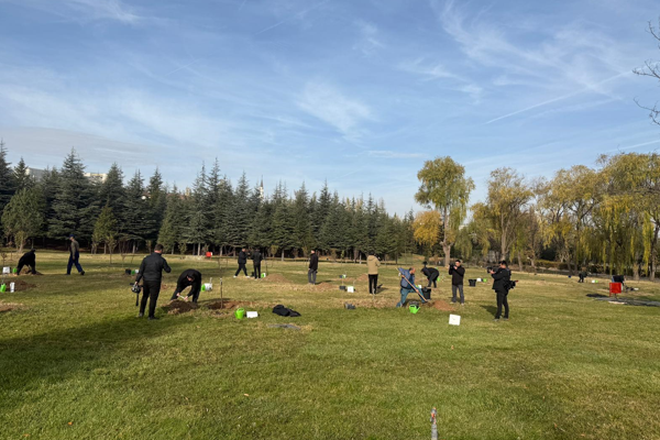 Basın Mensupları ve TSK personeli 63 fidanı toprakla buluşturdu