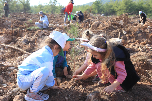 Kepez’de yangında zarar gören alanlarda fidan dikildi