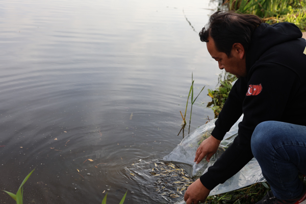 Eskişehir’de 5 bin aynalı sazan doğaya salındı