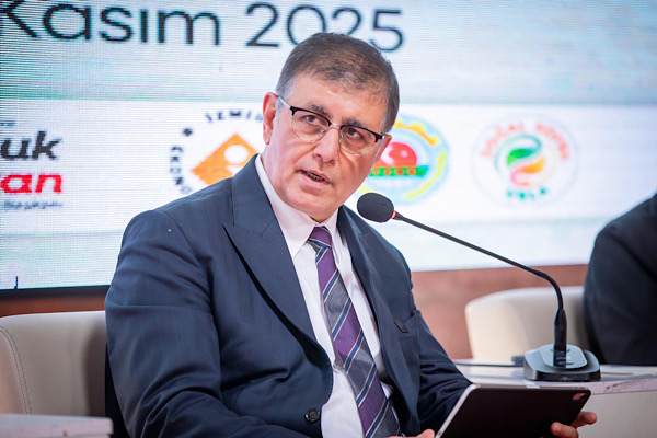 Tugay: Zeytinliklerin tahrip edilmesi, üreticinin geleceğe dair güvenini sarsar