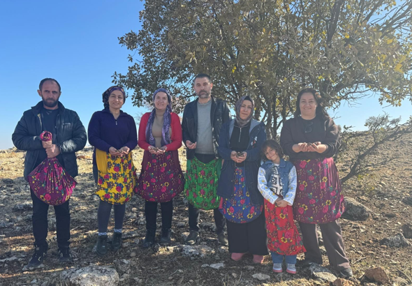 Kayapınar Belediyesi’nden doğaya 4 bin meşe palamudu