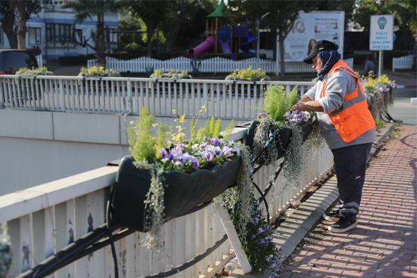 Antalya’da 4 milyon çiçek toprakla buluşuyor