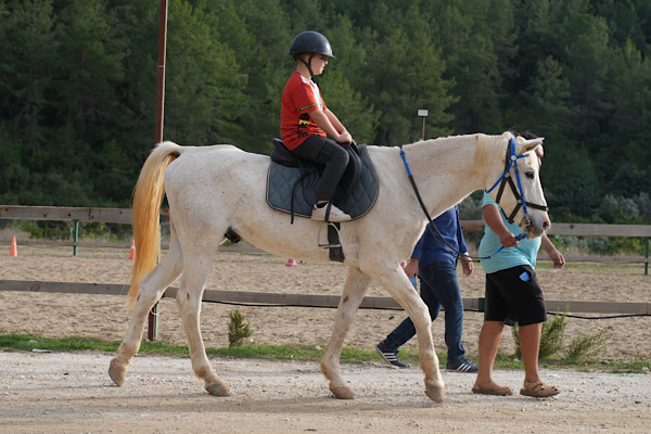 Alanya’da engelli bireylere binicilikle rehabilitasyon desteği