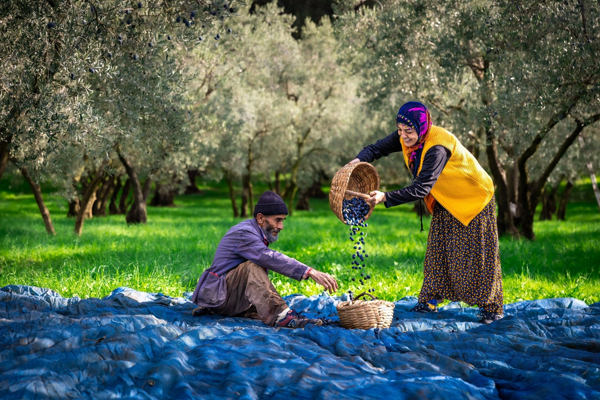 4. Gemlik Fotoğraf Maratonu gerçekleşti