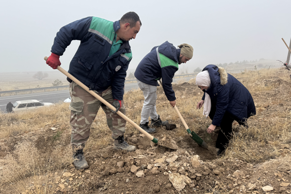 Büyükşehir, ağaçlandırma çalışmalarına Yahyalı’da devam etti