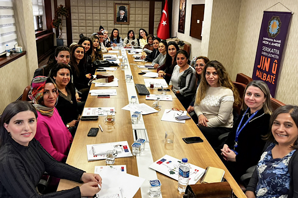 Diyarbakır’da Kadın Dostu Kentler Programı’nın çevrimiçi eğitimleri başladı