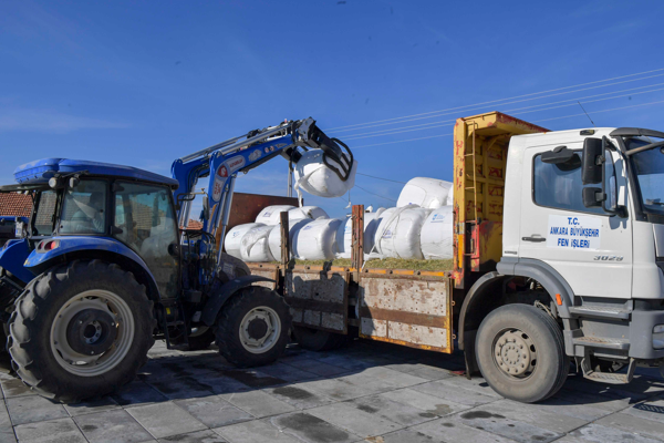 ABB’den üreticilere mısır silajı desteği