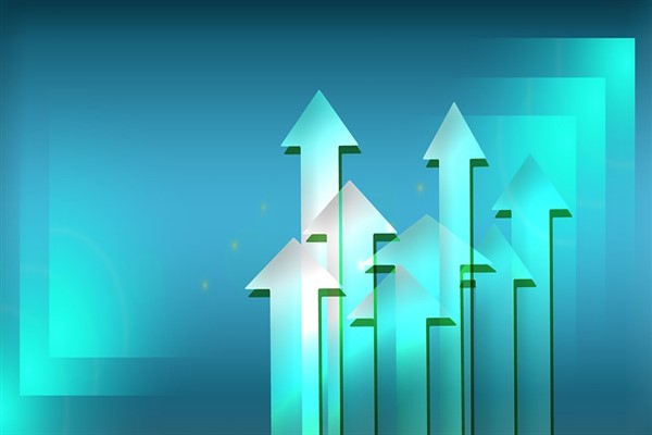 Ensari Sınai Yatırımlar’ın sermaye artırımı