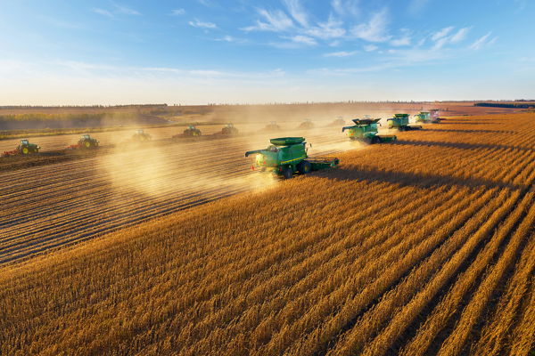 Çin’in tahıl üretimi 714,88 milyon tona yükseldi