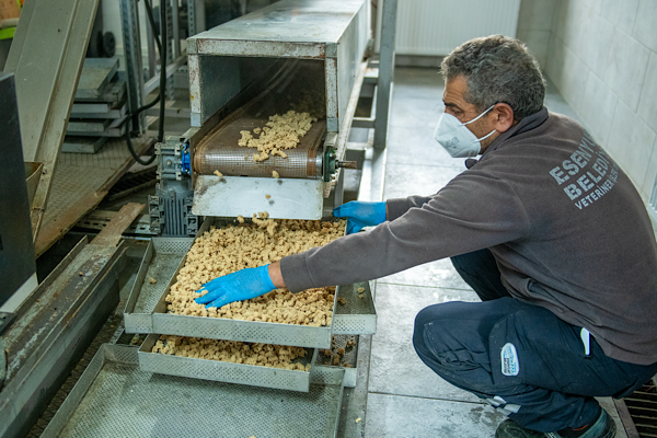 Esenyurt’ta hayvanlar için gıda desteği