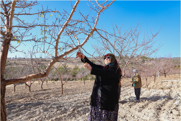 Mersin’de Organik Tarım Sertifikasyon Desteği verildi