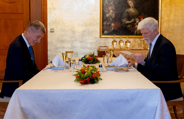 Pavel, Başbakan Babis ile görüştü