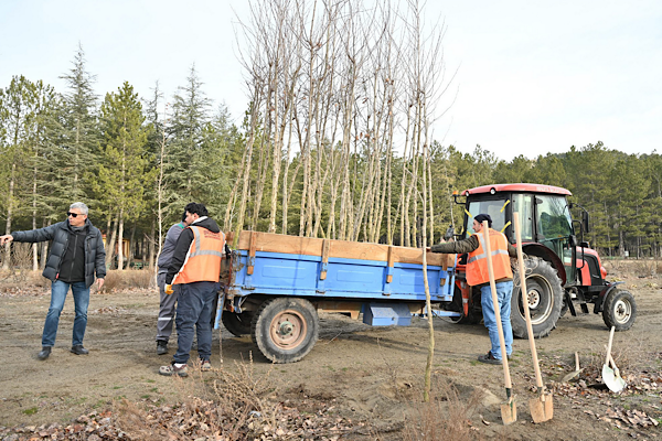 Isparta’daki Gölcük Tabiat Parkı’nda fidan dikimi gerçekleştirildi