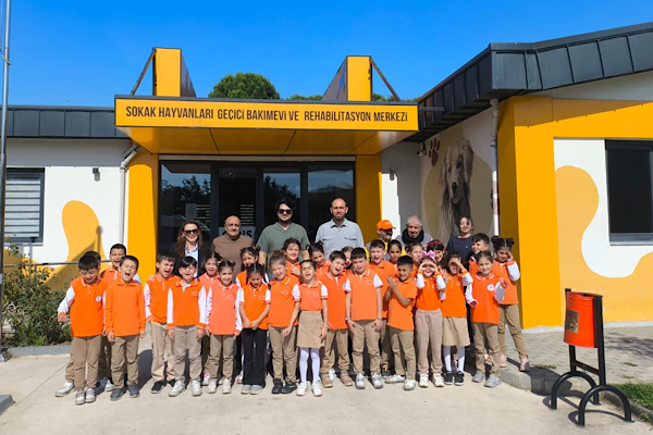 Çayırova’da 2025’te 328 sokak hayvanı sahiplendirildi