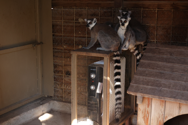 Antalya Büyükşehir Belediyesi Doğal Yaşam Parkı’nda kış tedbirleri