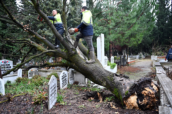 Yalova Şehir Mezarlığı’nda fırtına hasarı