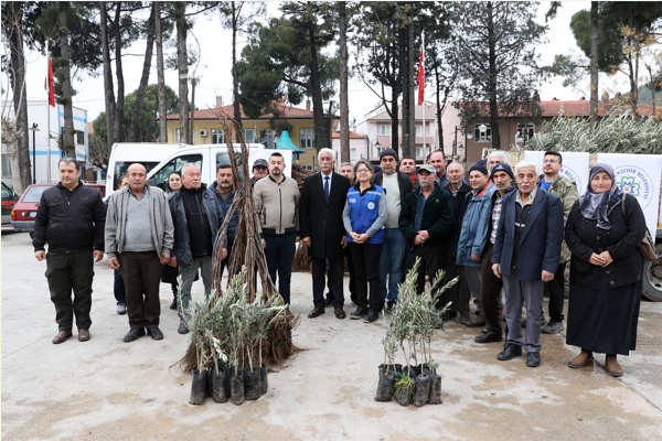 Büyükşehir’den Ula’da üreticiye zeytin ve ceviz fidanı desteği