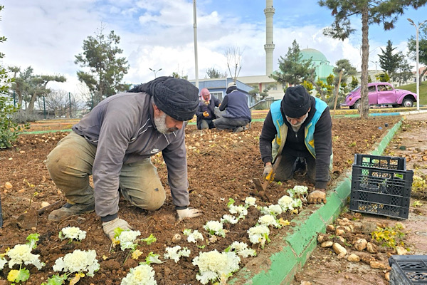 Eyyübiye’de yeşil alanlar bahara hazırlanıyor