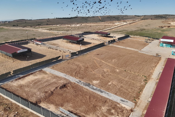 Şanlıurfa’da sahipsiz hayvanların toplanmasında hedefe ulaşıldı