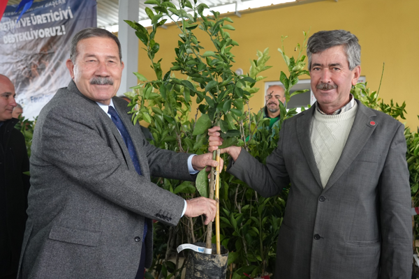 Milas’ta meyve fidanları üreticilerle buluşturuldu