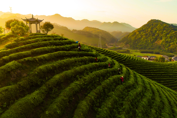 CGTN anketinden tarihi sonuç: Küresel yoksullukla mücadelede Çin’in kilit rolü