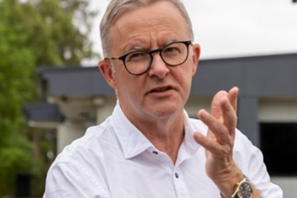 Albanese: Her dönem parlamentoya, hizmet edenleri ve fedakarlıklarını anmakla başlıyoruz