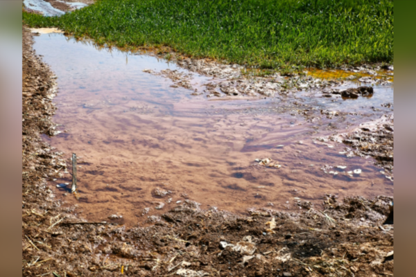 Tarımsal sulamada kaçak elektrik kullanımı  5 milyar kWh’ye ulaştı