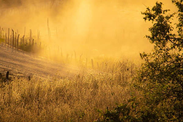 MGM: Marmara ve Ege’de toz taşınımı bekleniyor