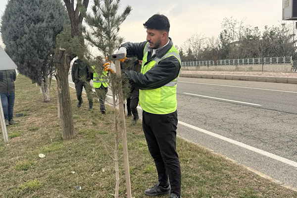 Batman’da Yeşil Kuşak Projesi hayata geçirildi