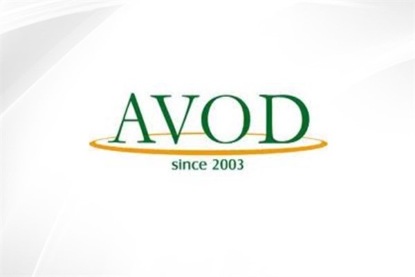 AVOD’un 12 aylık performansı