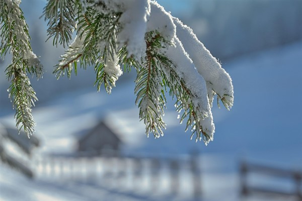Ordu’nun bazı ilçelerinde eğitime 1 günlük ara verildi