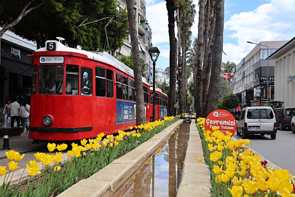 Antalya sokakları lale ve mevsimlik çiçeklerle renklendirildi
