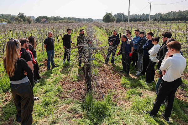 Buca’nın üzüm bağları geleceğin ziraat mühendislerine okul oldu