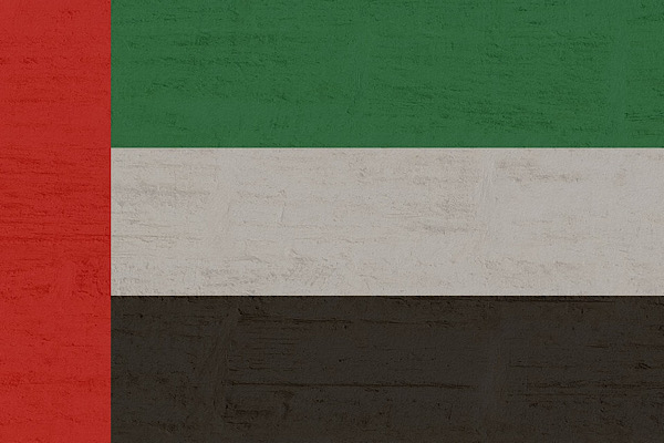 BAE Savunma Bakanlığı, 131 İHA’nın etkisiz hale getirildiğini duyurdu