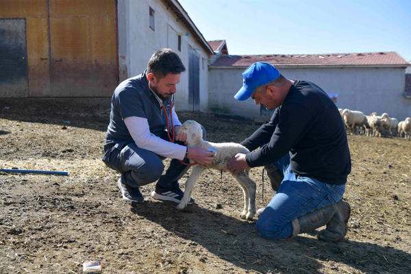 “Veteriner Hekimliği Hizmet Projesi” için başvurular sürüyor