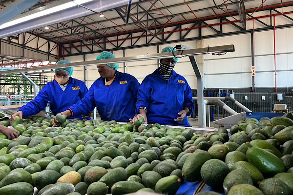 Çin’in Afrika ülkelerine yönelik sıfır gümrük vergisi kapsamı genişliyor