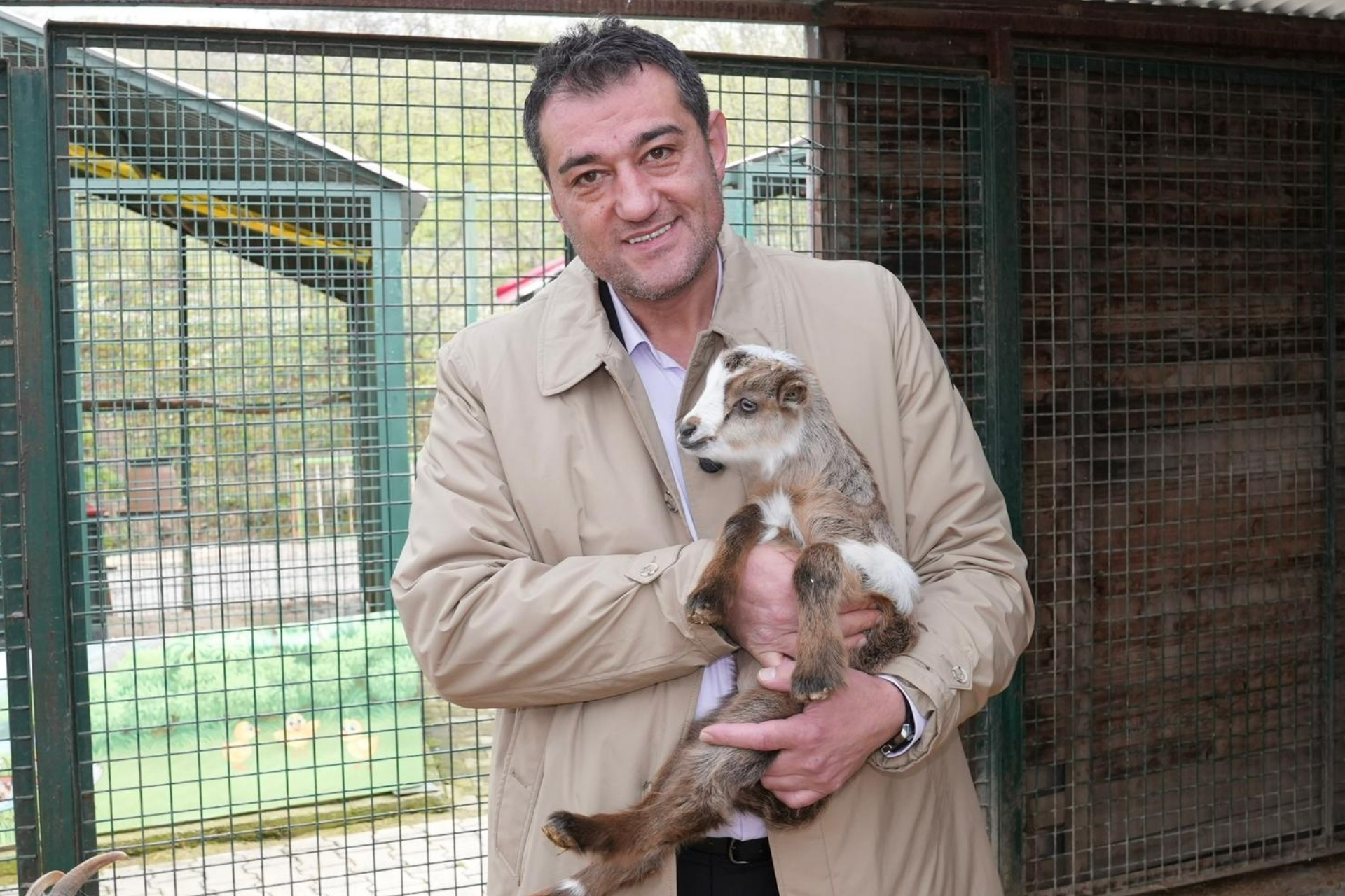 Köse: Sokak hayvanlarının yaşam hakkını unutmayalım