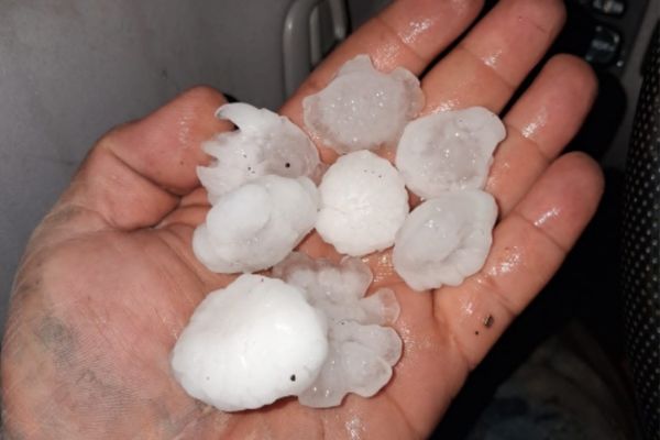 Güneydoğu’da dolu ve rüzgar çiftçiyi vurdu