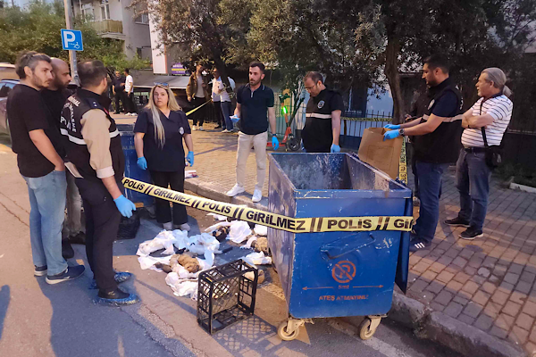 Buca’da konteynerde bulunan hayvan ölüleriyle ilgili inceleme