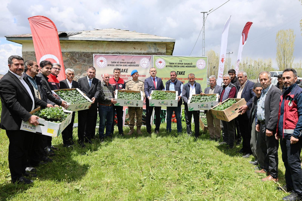 Aşkale Köyü’nde çiftçilere sebze fidesi dağıtıldı