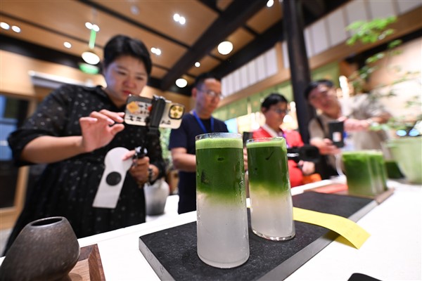 Çin’in matcha tozu üretimi dünyanın yüzde 70’ini oluşturdu
