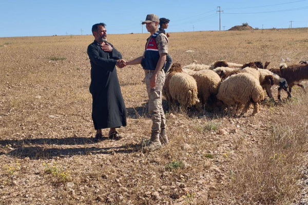 Şanlıurfa’da kayıp 17 küçükbaş hayvan bulundu