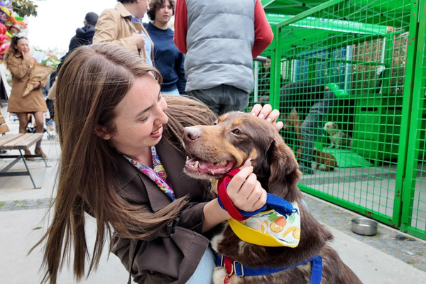 Konak’ta 11 kedi ve köpek sahiplendirildi