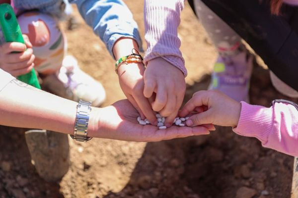 Minik öğrenciler Tarım Okulu’nda doğayla buluştu