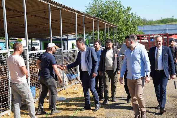 Çorlu Belediye Başkanı Sarıkurt, kurban pazarı ve mezbahayı ziyaret etti